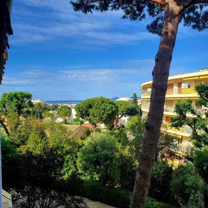 Grand Studio Localisation Ideale Antibes Exterior foto